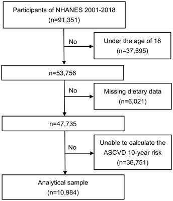 Associations between composite dietary antioxidant index and estimated 10-year atherosclerotic cardiovascular disease risk among U.S. adults